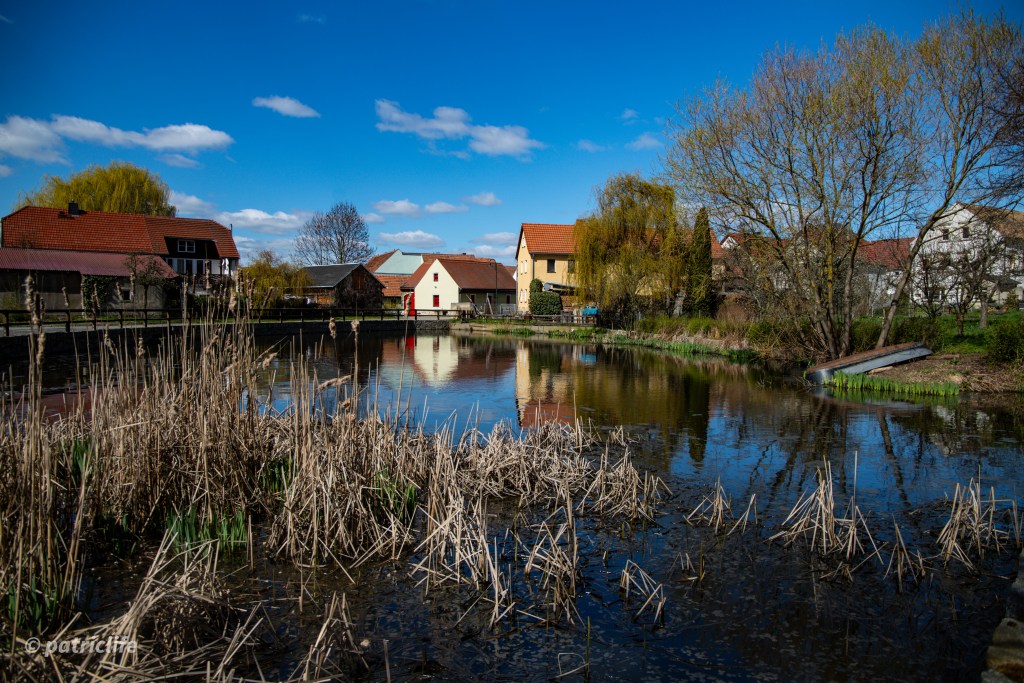 Zwischen Bärwalde und Steinbach Patriclife
